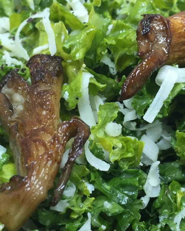 Fennel Caesar Salad Jamie Geller