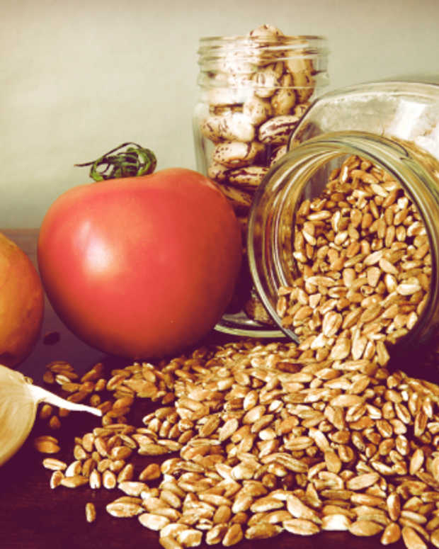 13 Alternative Challah Recipes Jamie Geller