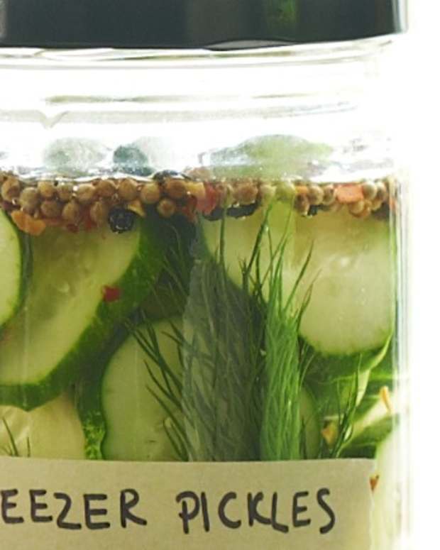 Fermented Kosher Sour Pickles Jamie Geller