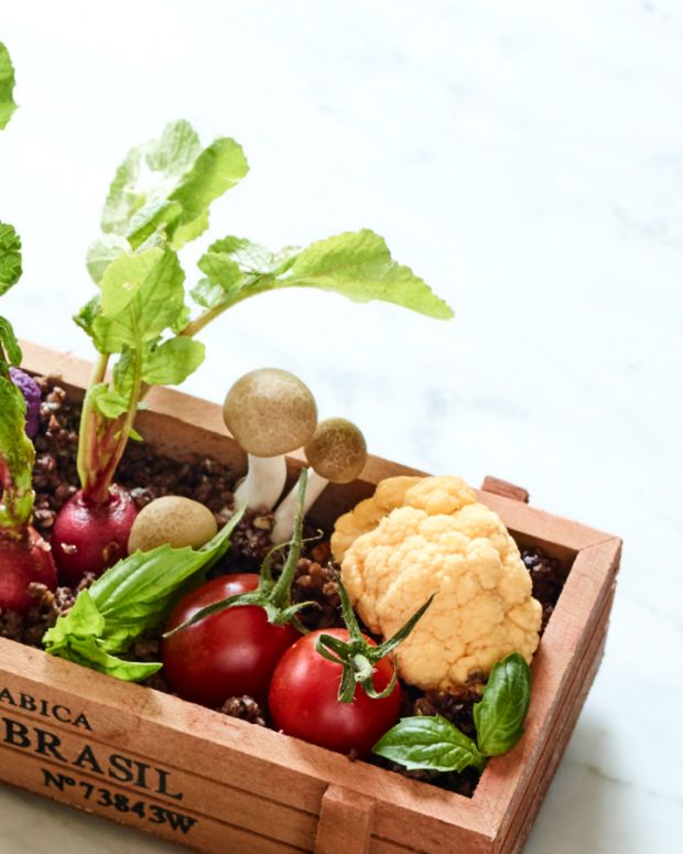 Tzafun A Prize For The Afikoman Joy of Kosher