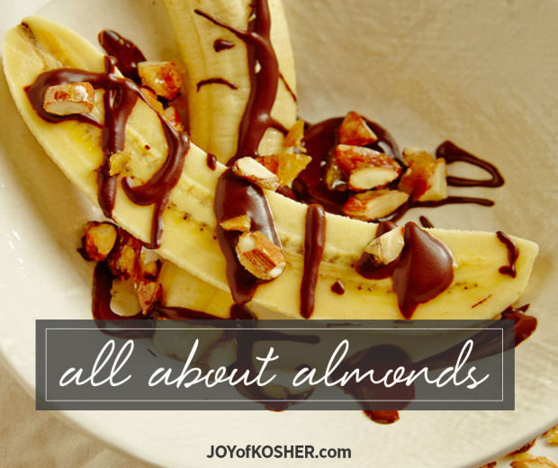 All About Almonds Joy of Kosher