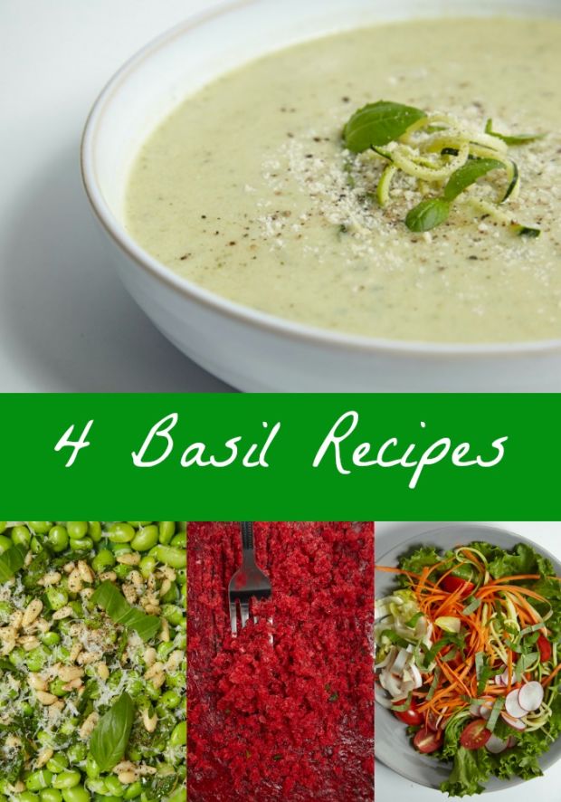 4 Brilliant Ways To Cook With Basil Joy of Kosher