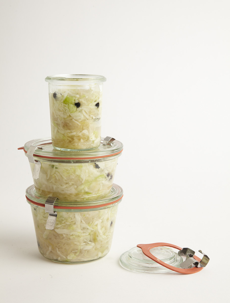 Why We Love Bacteria Understanding Fermenting Joy of Kosher