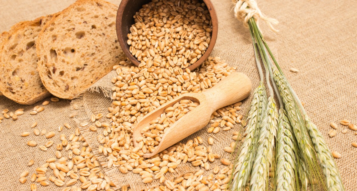 DIY Sprouted Bread The Healthiest and Holiest Bread You Can Eat