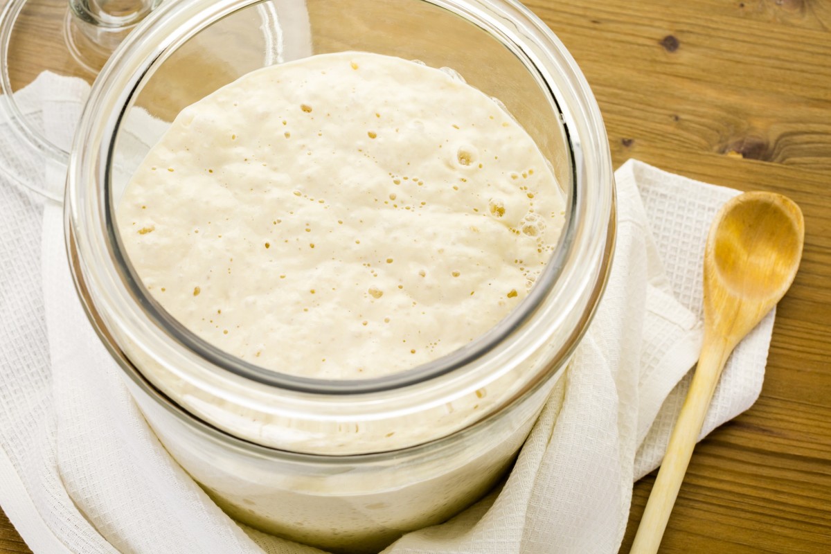 How To Make Sourdough Starter Joy of Kosher