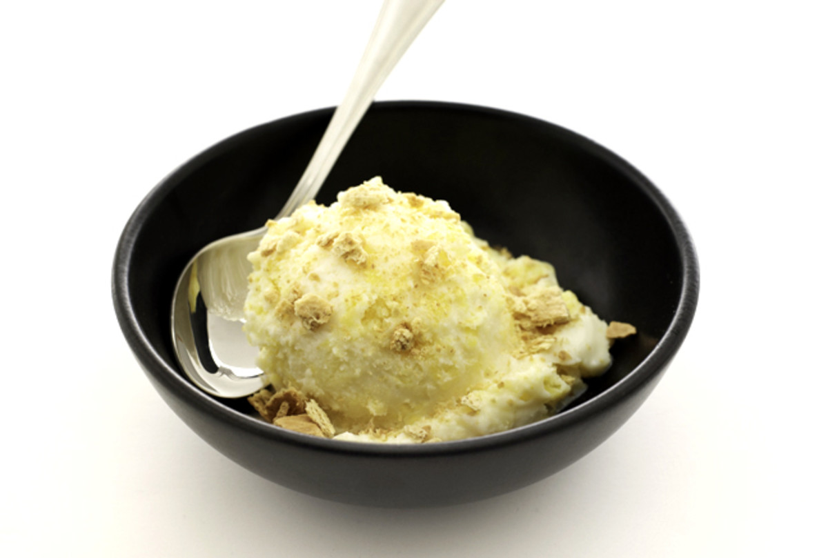 Mango Frozen Yogurt with Graham Crackers Jamie Geller