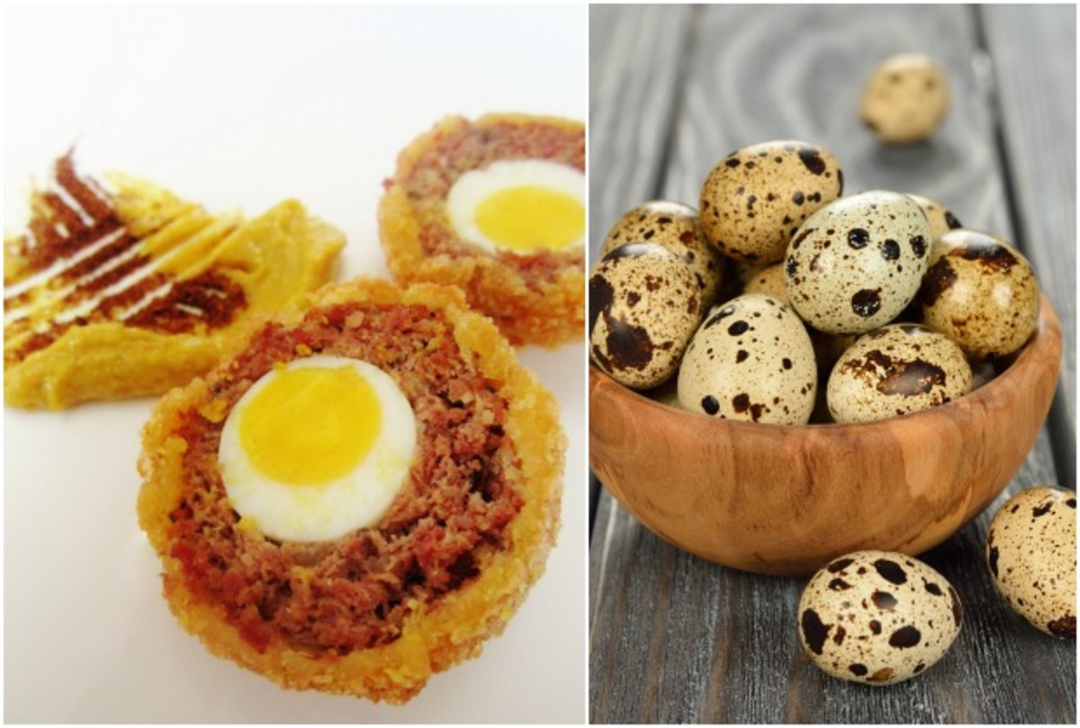 Panko Scotch Quail Eggs with Curry Garlic Aioli Jamie Geller