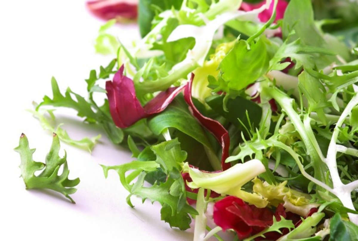 Salad of Bitter Greens Jamie Geller