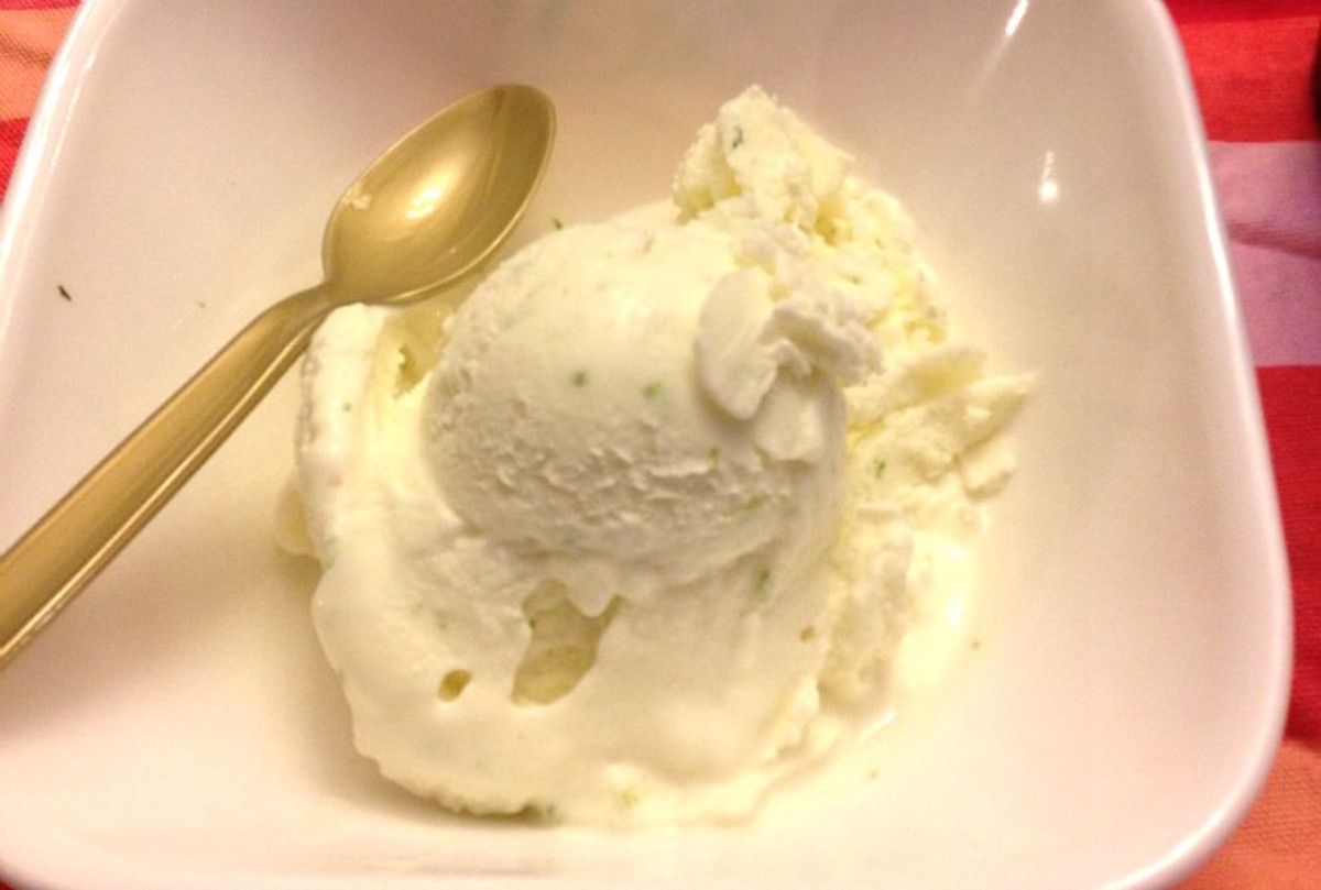 Lemon or Lime Frozen Yogurt Jamie Geller