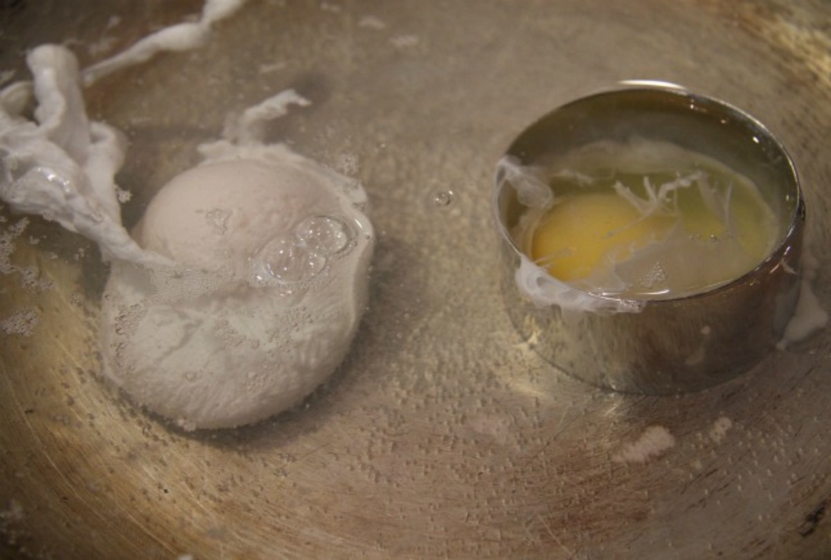 Perfect Poached Eggs with Step by Step Photos and Instructions Jamie
