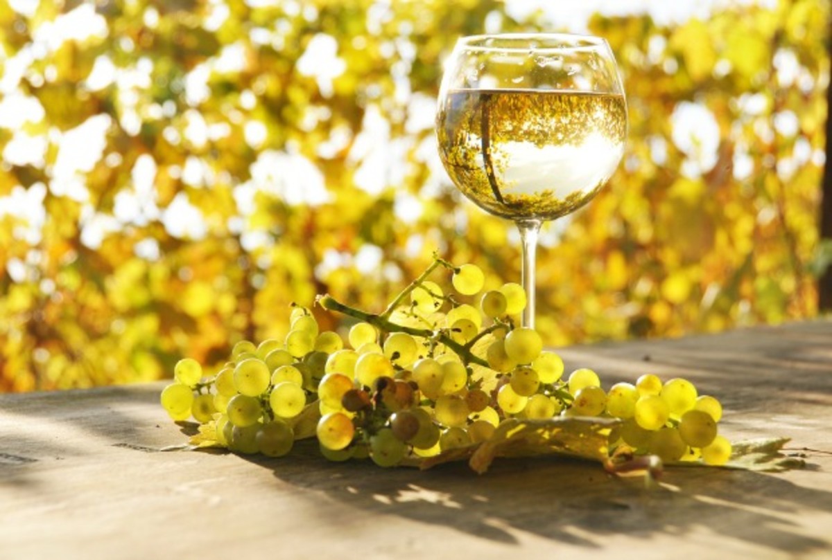 Kosher Wine for Summertime Joy of Kosher