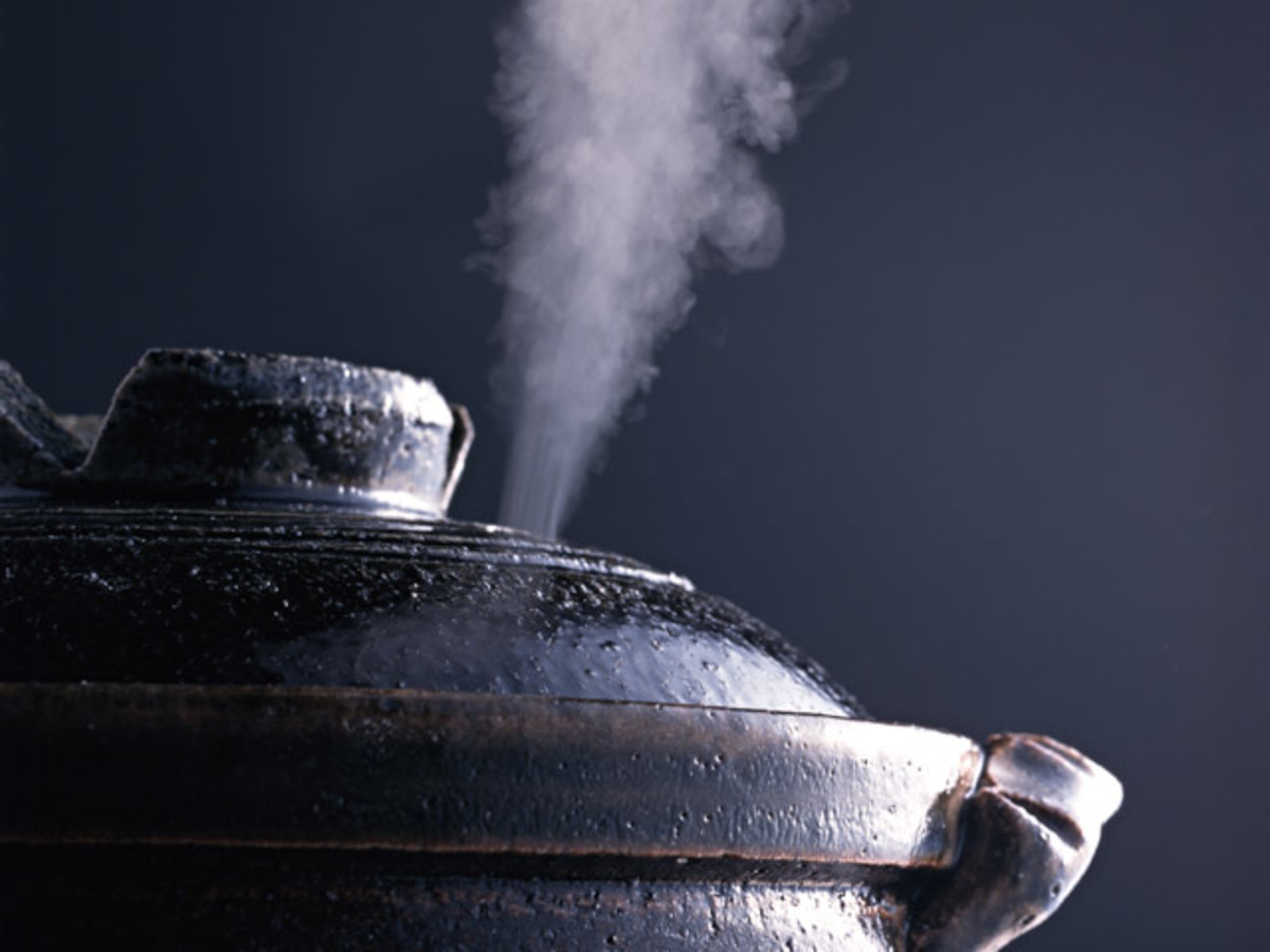 Adventures With My Pressure Cooker Jamie Geller